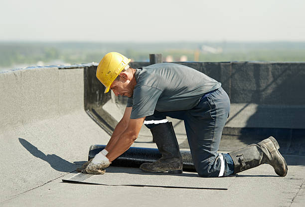 Best Insulation Repair Services  in Westwood Shores, TX